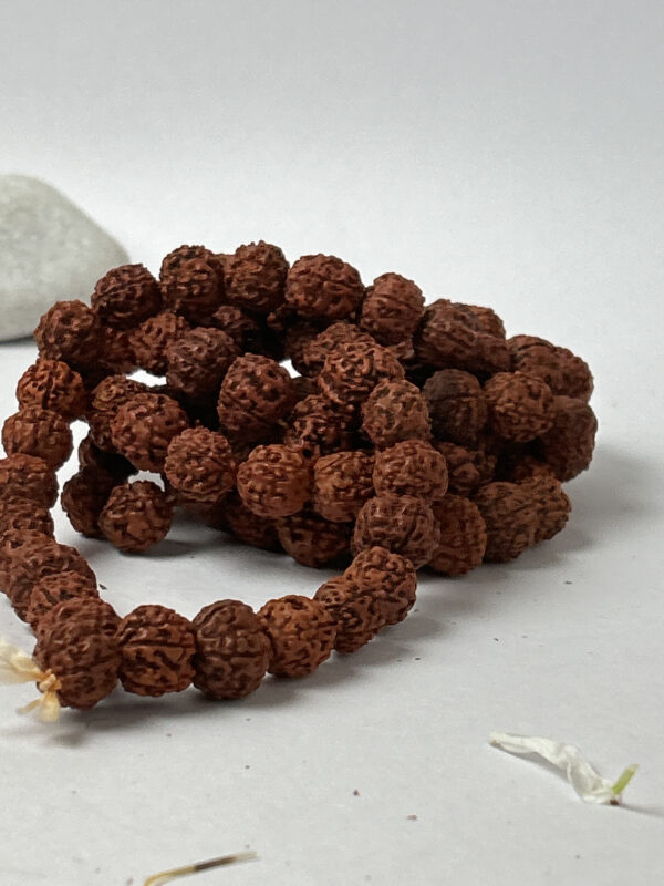 Sansthha - 5 Mukhi 108 Beads Rudraksha Mala