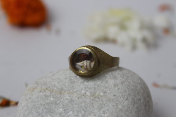 Sansthha - Trishakti Ring