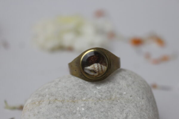 Sansthha - Trishakti Ring