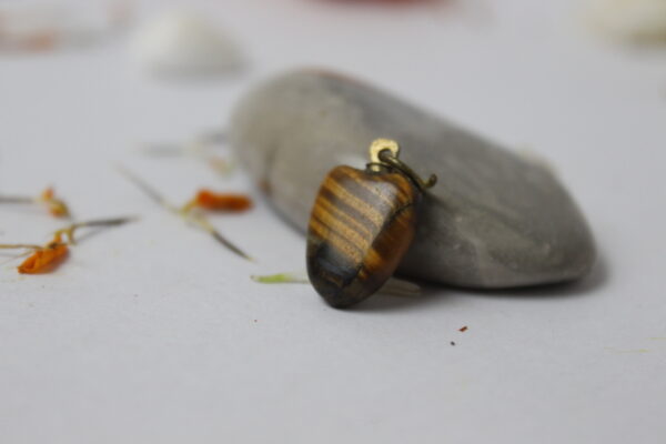 Sansthha - Tiger Eye Locket