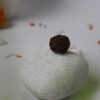 Sansthha - 5 Mukhi Rudraksha