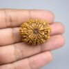 Sansthha - 14 Mukhi Rudraksha