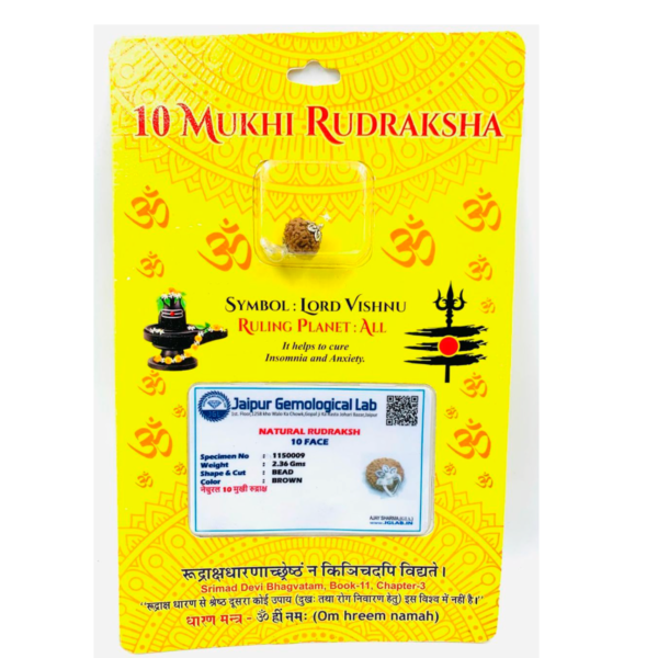 Sansthha - 10 Mukhi Rudraksha