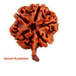 Sansthha - Ganesh Rudraksha