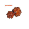 Sansthha - Gauri Shankar Rudraksha