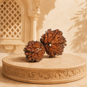 Gauri-Shankar-Rudraksha
