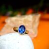 Nilam Ring (Blue Sapphire Ring) – Power, Benefits & Premium Collection by Sansthha