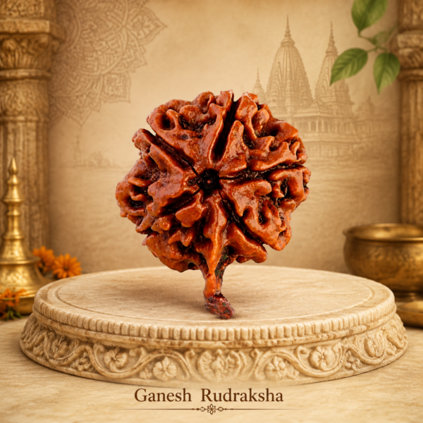 Sansthha - Ganesh Rudraksha