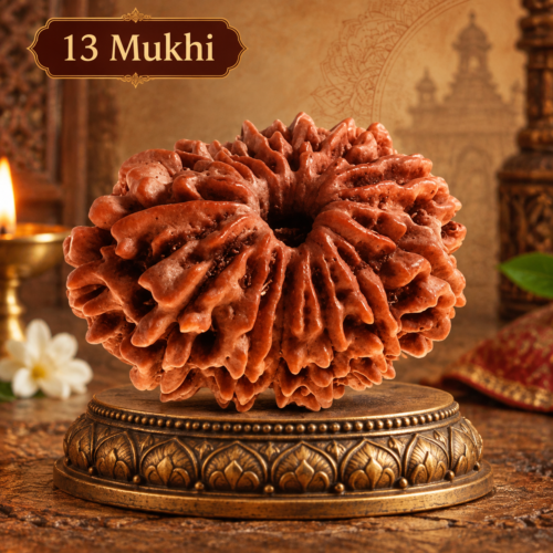 13 Mukhi Rudraksha for confidence, prosperity and spiritual growth