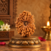 Sansthha - 15 Mukhi Rudraksha
