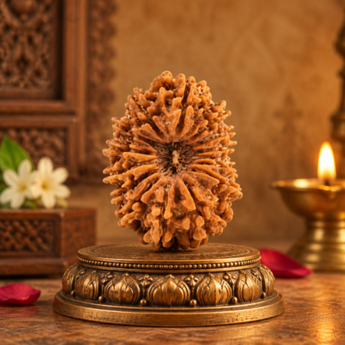 Sansthha - 15 Mukhi Rudraksha