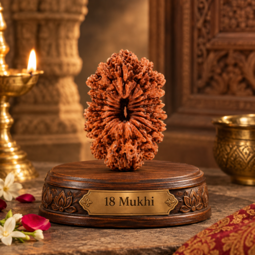 18 Mukhi Rudraksha – Original Authentic Rudraksha Bead
