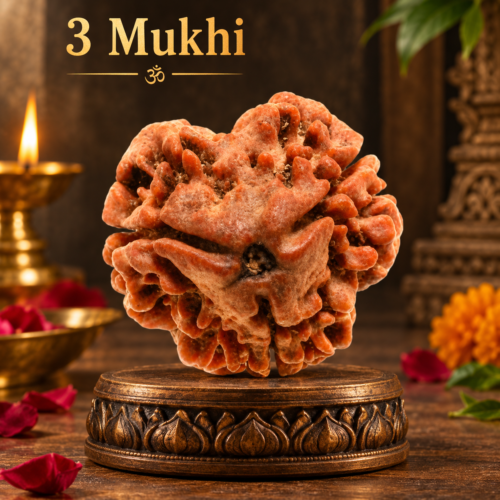 3 Mukhi Rudraksha for spiritual growth and positive energy