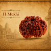 Sansthha - 11 Mukhi Rudraksha