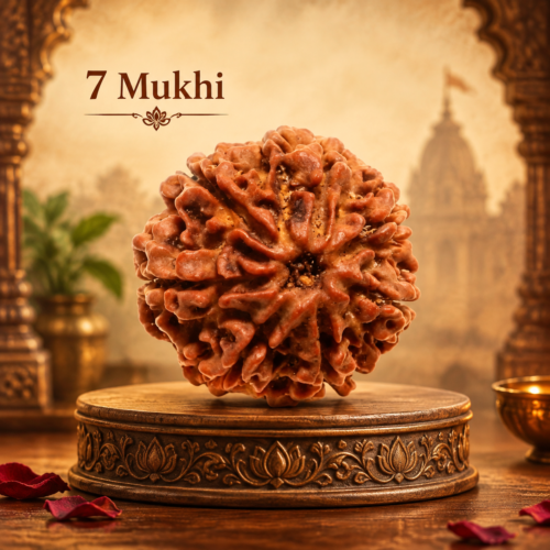 7 Mukhi Rudraksha for prosperity and spiritual growth